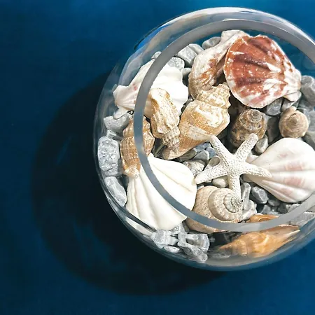 Js House 4 דירה *