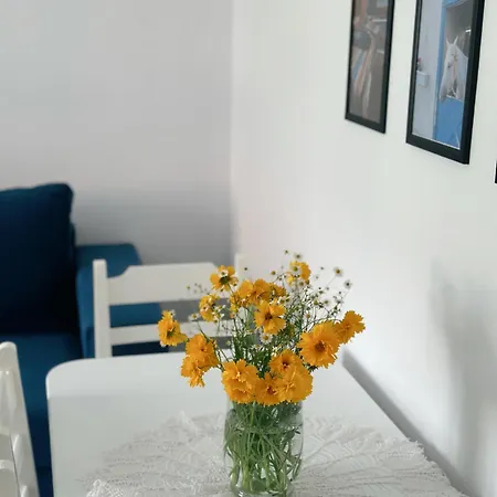 Apartament Js House 4 Szkodra